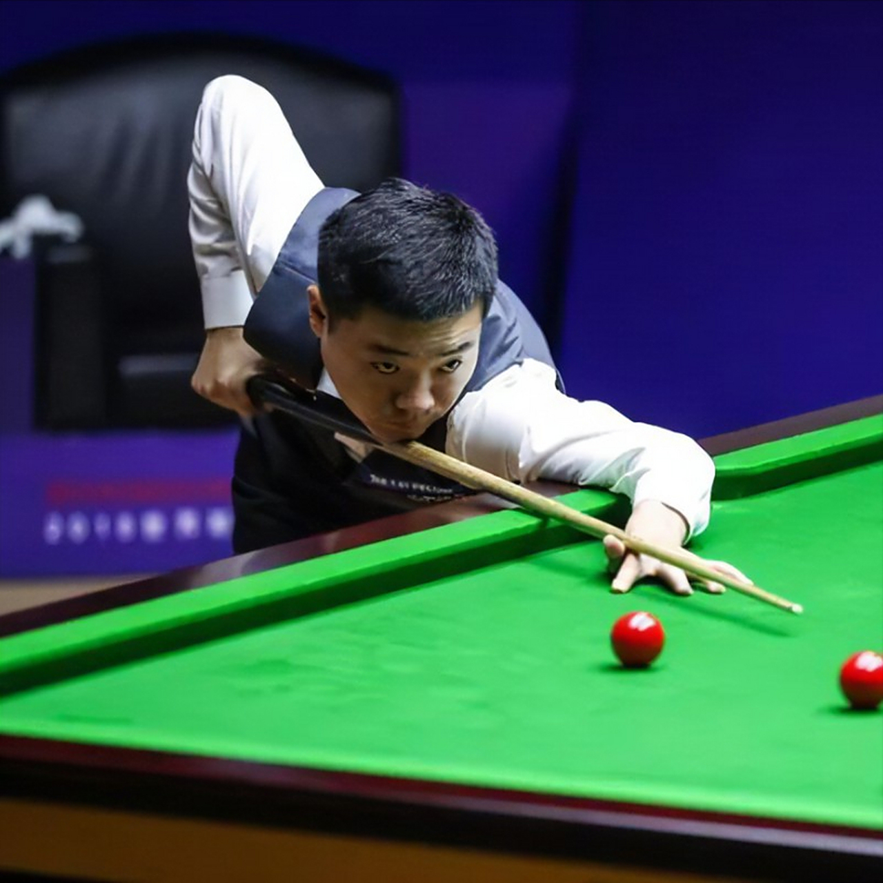 安排吸引了 安排吸引了