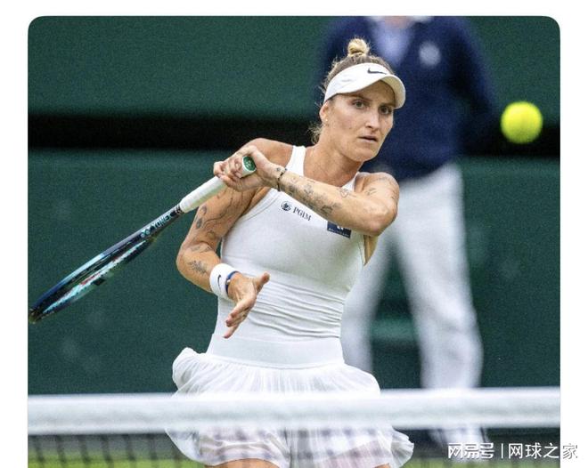 在这篇文章 在这篇文章