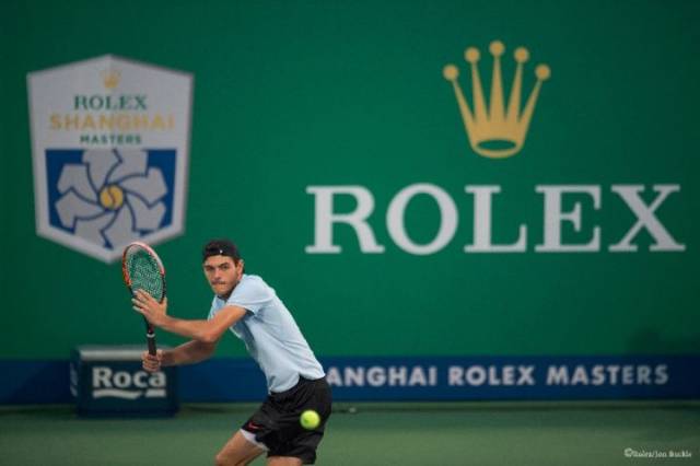 三角草完成 三角草完成